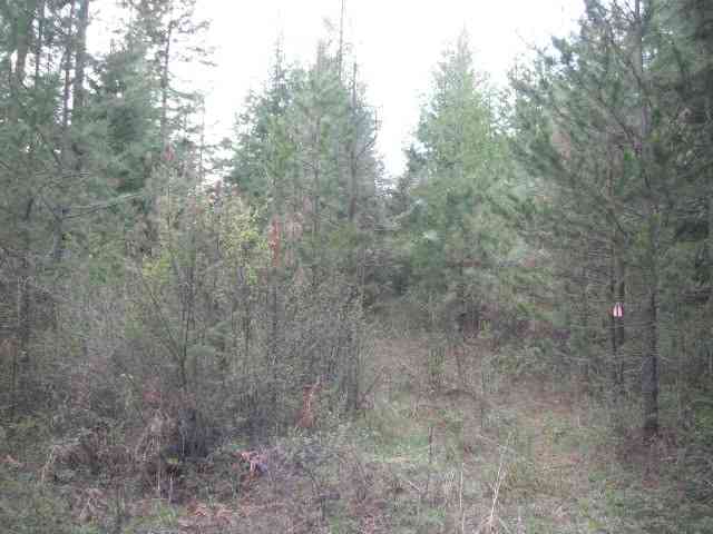4325 A Lyon Hill Road Springdale, WA 99173 - Photo 6 of 8