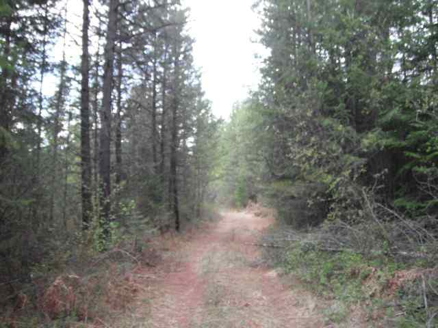 4325 A Lyon Hill Road Springdale, WA 99173 - Photo 7 of 8