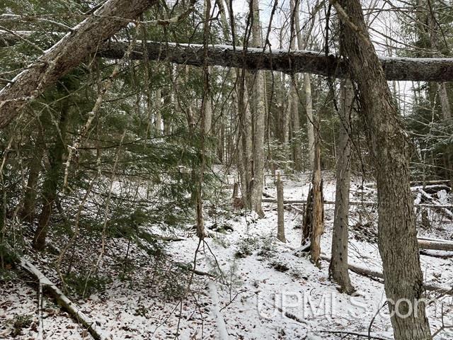 545 South Rd Skandia Mi 49885 Road Skandia, MI 49885 - Photo 19 of 38
