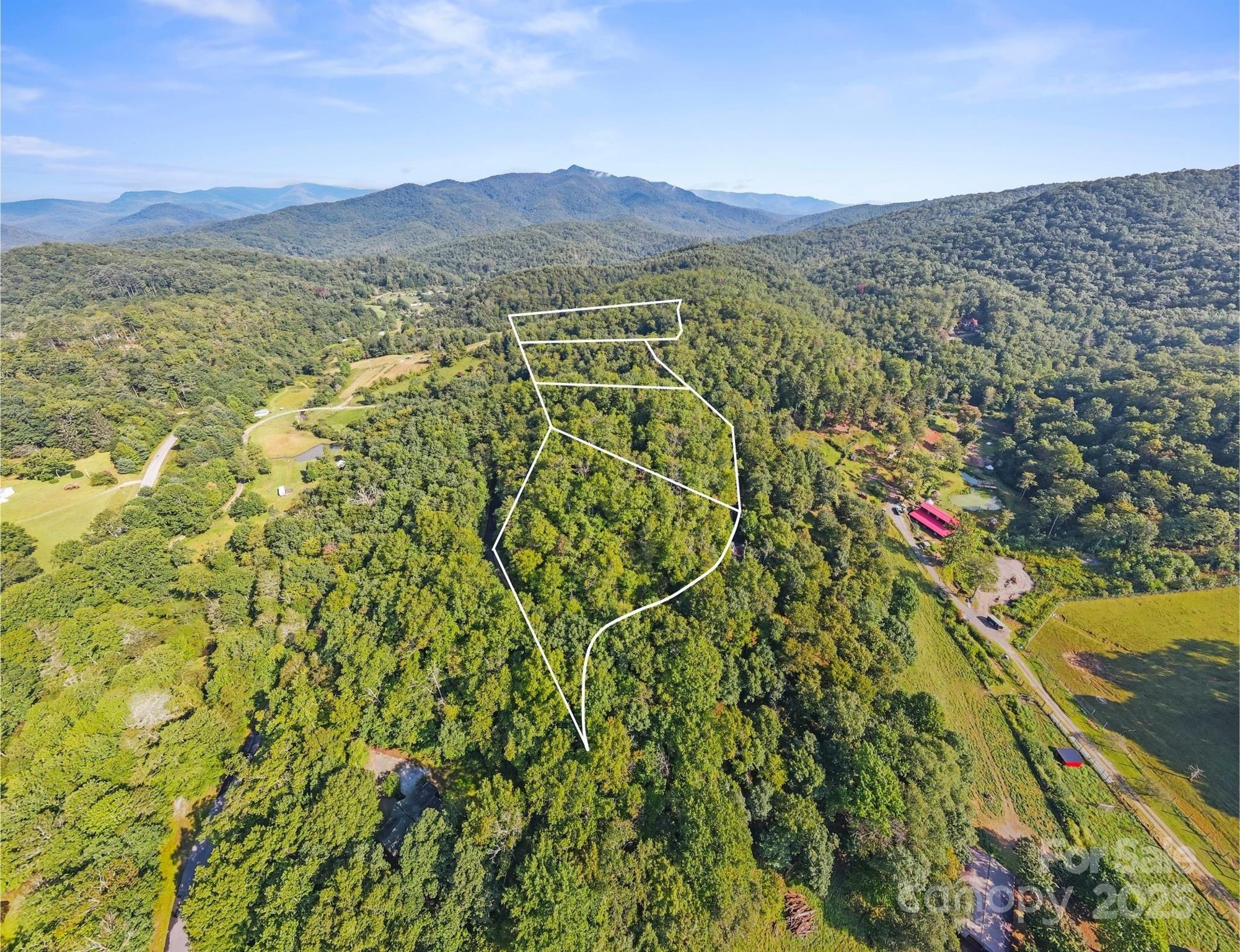 Tbd Barts Br Drive, Unit 1316 Balsam Grove, NC 28708 - Photo 2 of 10 a view of a city with lush green forest