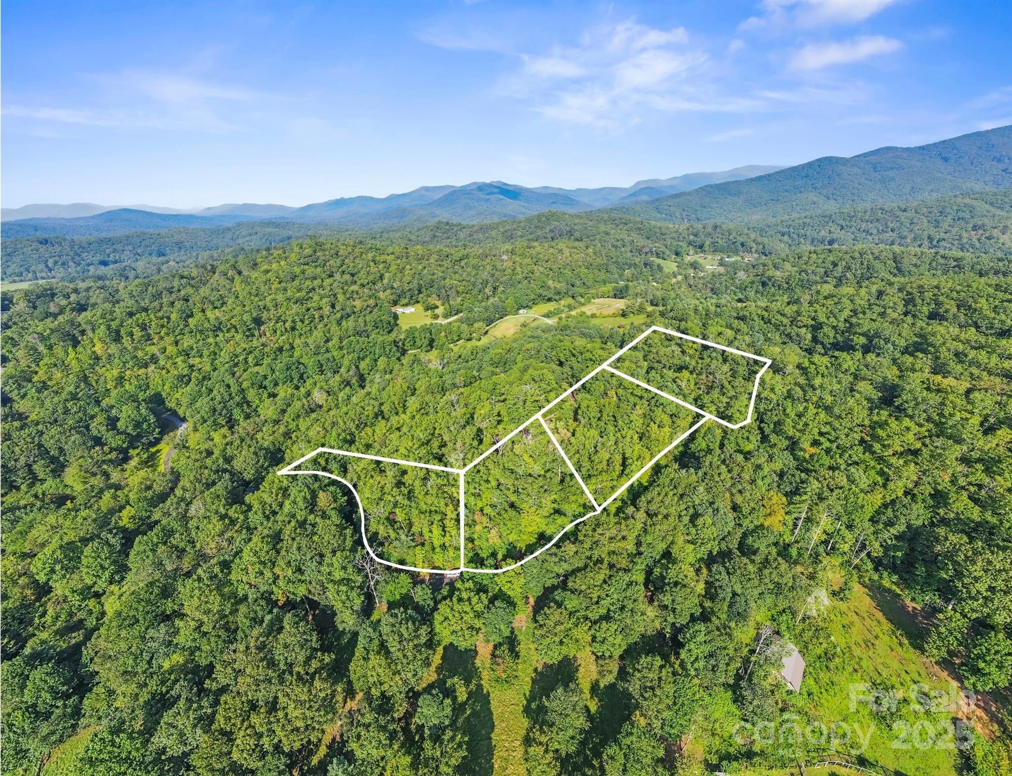 Tbd Barts Br Drive, Unit 1316 Balsam Grove, NC 28708 - Photo 3 of 10 a view of a city
