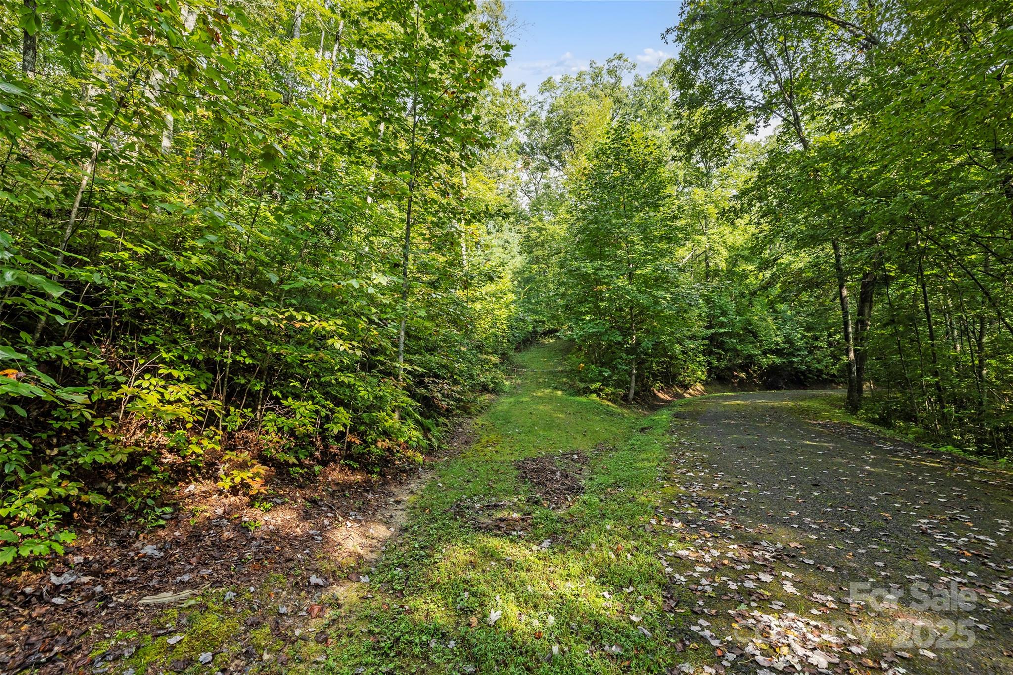 Tbd Barts Br Drive, Unit 1316 Balsam Grove, NC 28708 - Photo 4 of 10 a view of a large yard with lots of green space