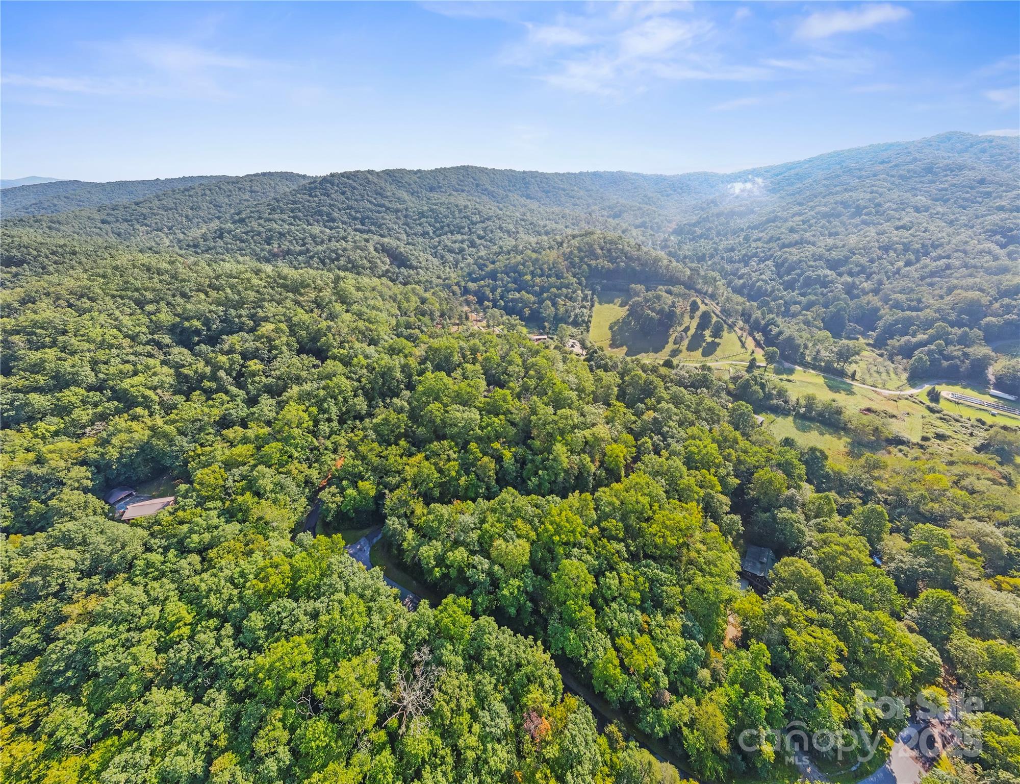 Tbd Barts Br Drive, Unit 1316 Balsam Grove, NC 28708 - Photo 5 of 10 a view of a lush green field with mountains in the background
