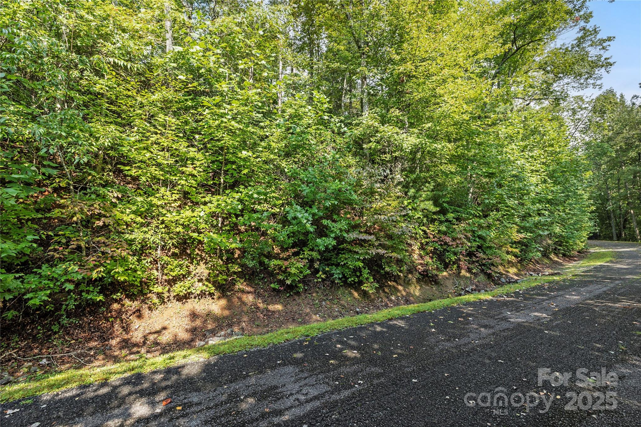 Tbd Barts Br Drive, Unit 1316 Balsam Grove, NC 28708 - Photo 6 of 10 a view of a yard with plants and a tree