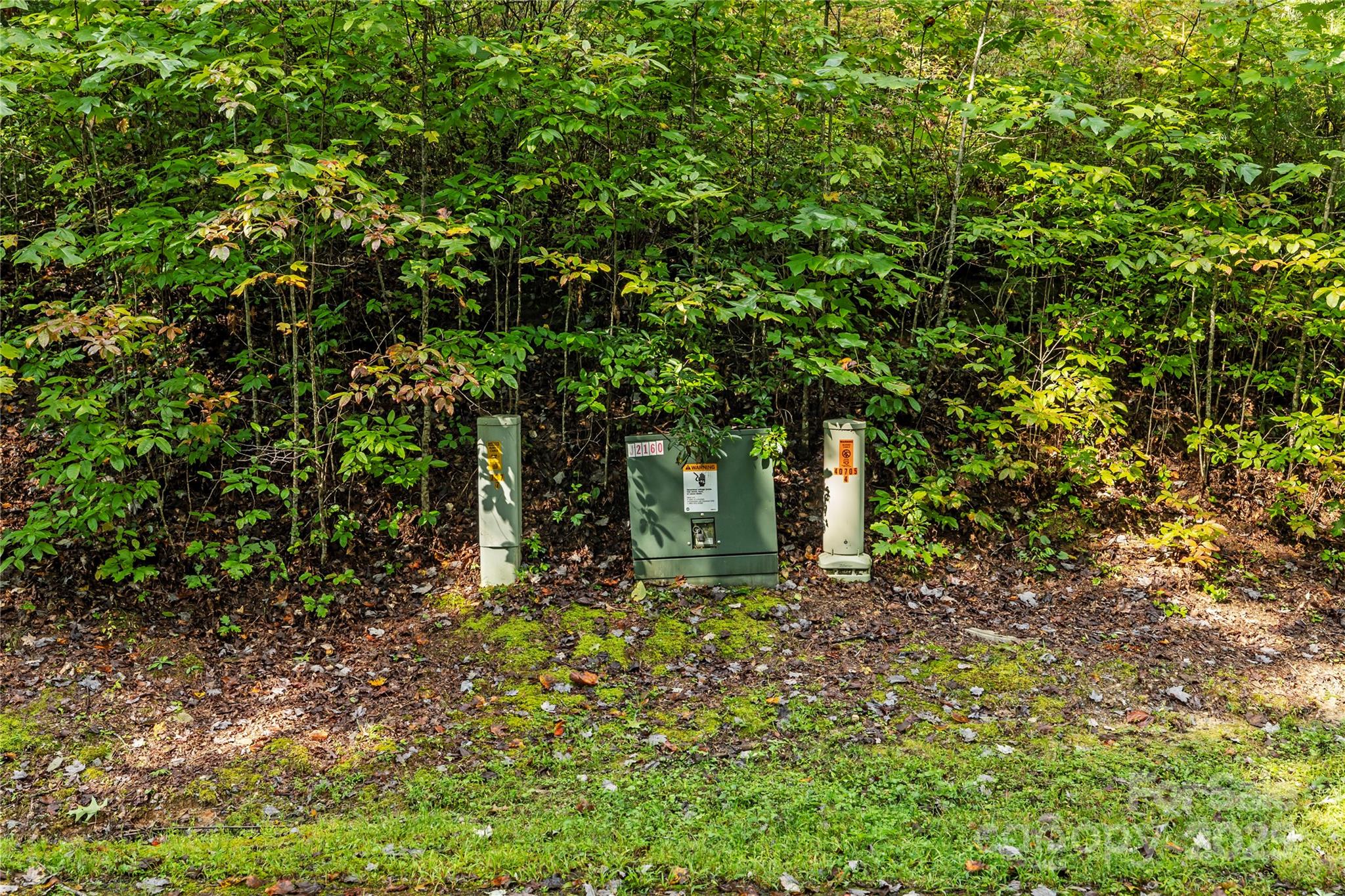 Tbd Barts Br Drive, Unit 1316 Balsam Grove, NC 28708 - Photo 7 of 10