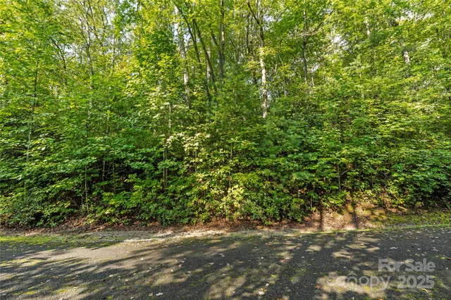 a view of a city with lush green forest