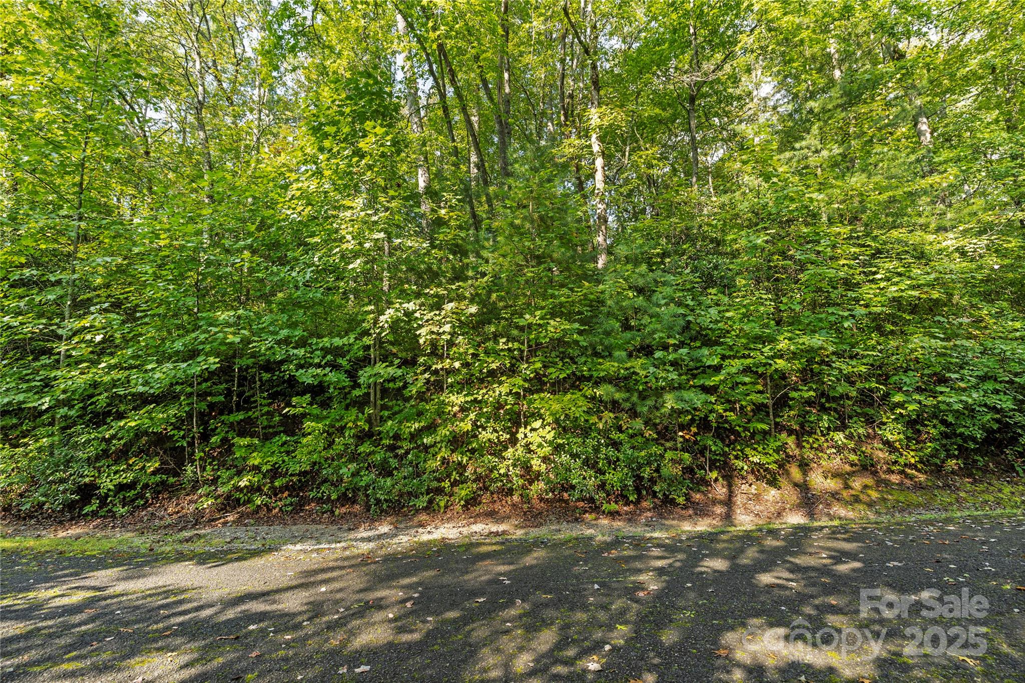 Tbd Barts Br Drive, Unit 1316 Balsam Grove, NC 28708 - Photo 9 of 10 a view of a yard with a tree