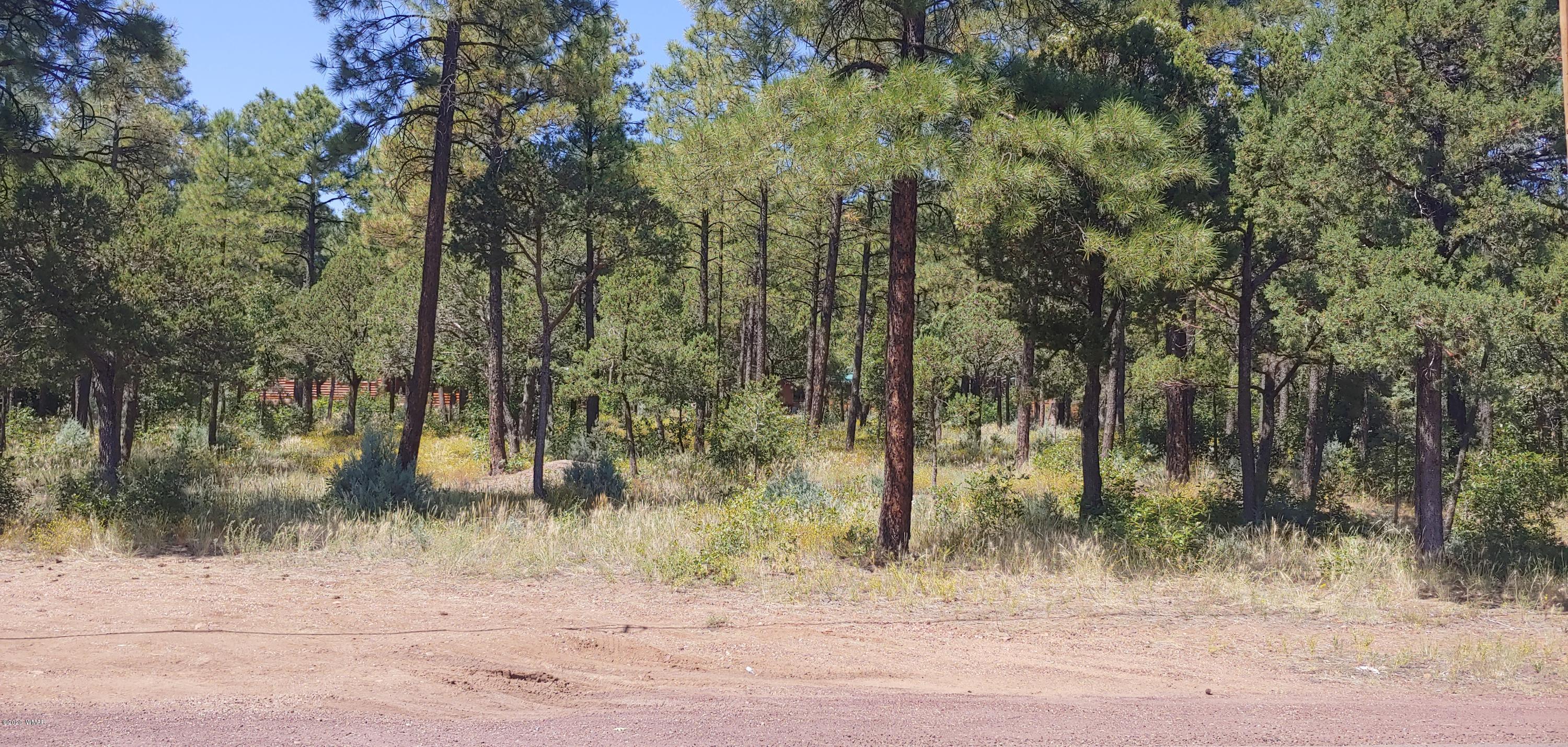 Tbd Larson Road Lakeside, AZ 85929 - Photo 1 of 4