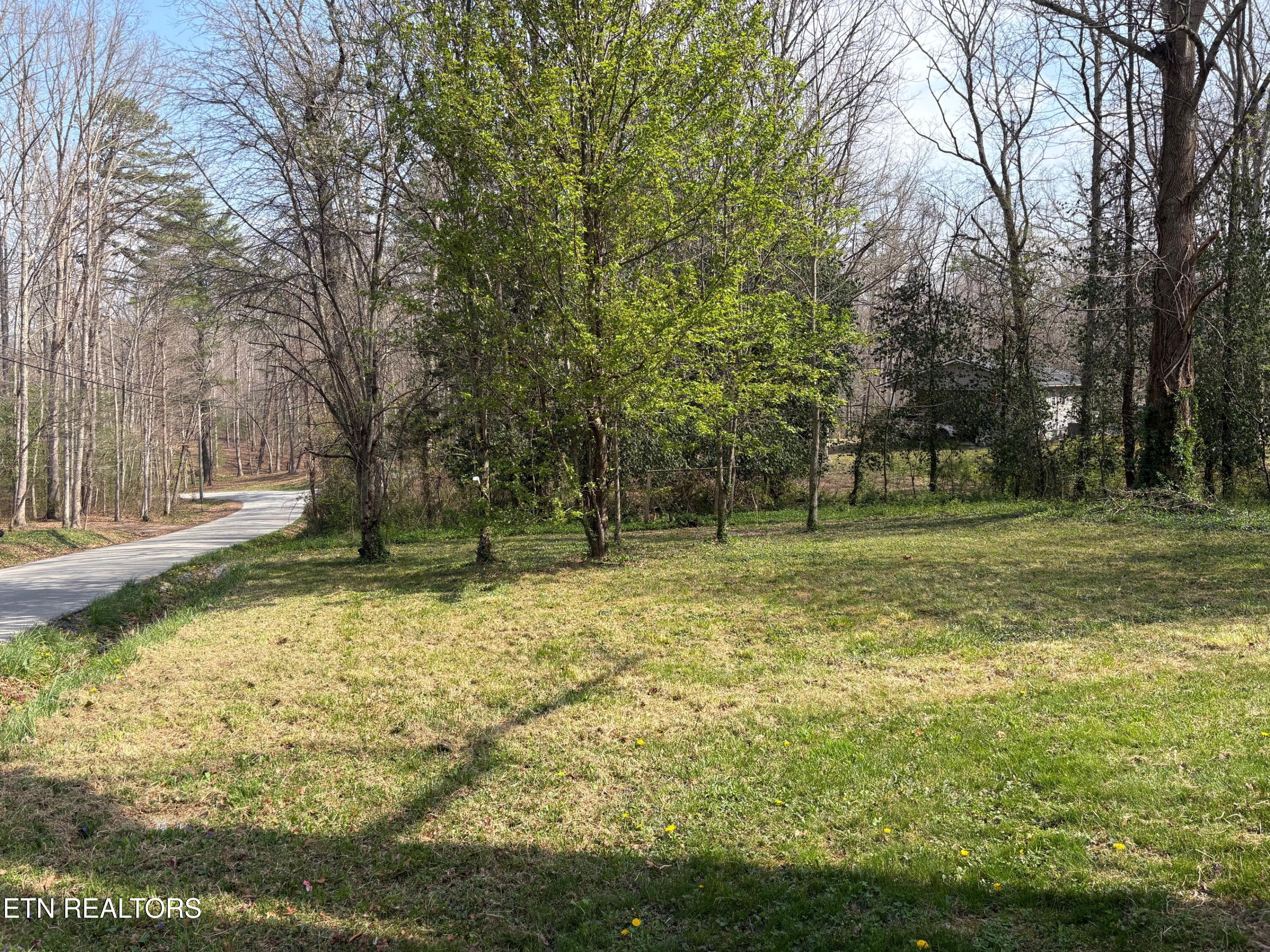 350 Colditz Road Jamestown, TN 38556 - Photo 7 of 28 ballard 7
