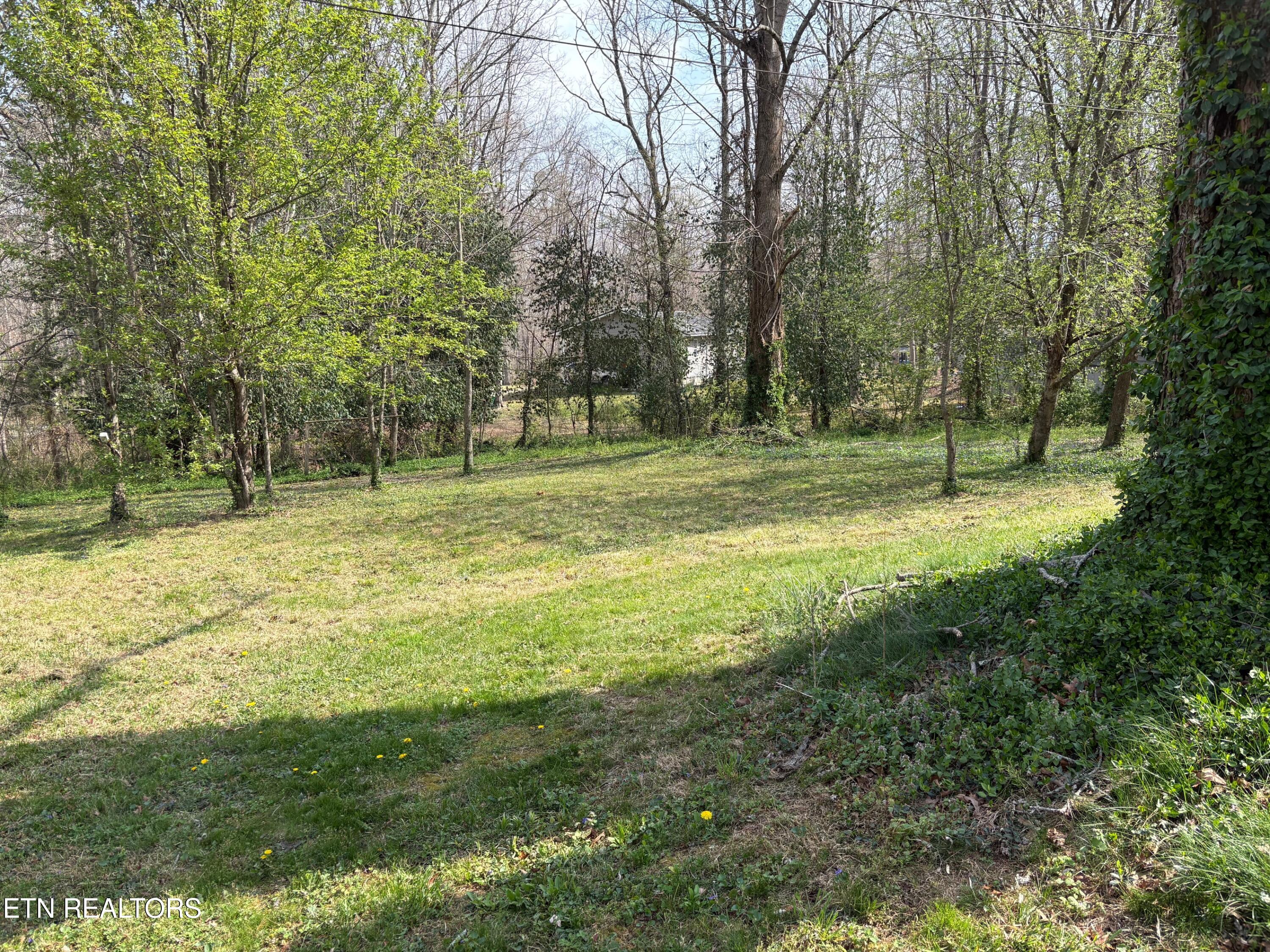 350 Colditz Road Jamestown, TN 38556 - Photo 8 of 28 ballard 8