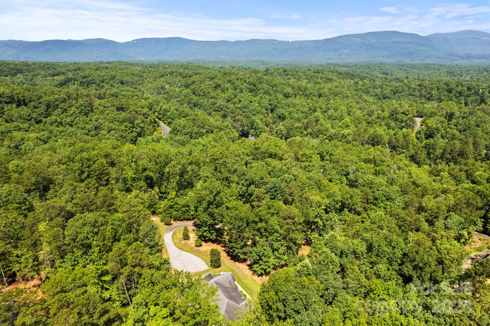 232 Wild Haven Way Mill Spring, NC 28756 - Photo 39 of 43