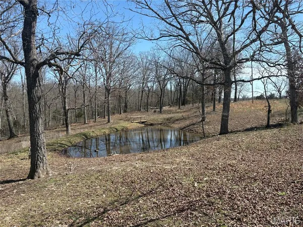 $215,000 | 7440 Highway 17, Houston, MO 65483