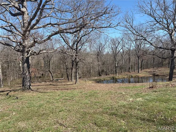 $215,000 | 7440 Highway 17, Houston, MO 65483