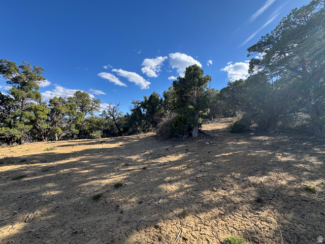 38 Broken Branch Road, Unit 38 Kanab, UT 84741 - Photo 24 of 53 Expansive land parcel featuring arid ground and diverse tree coverage