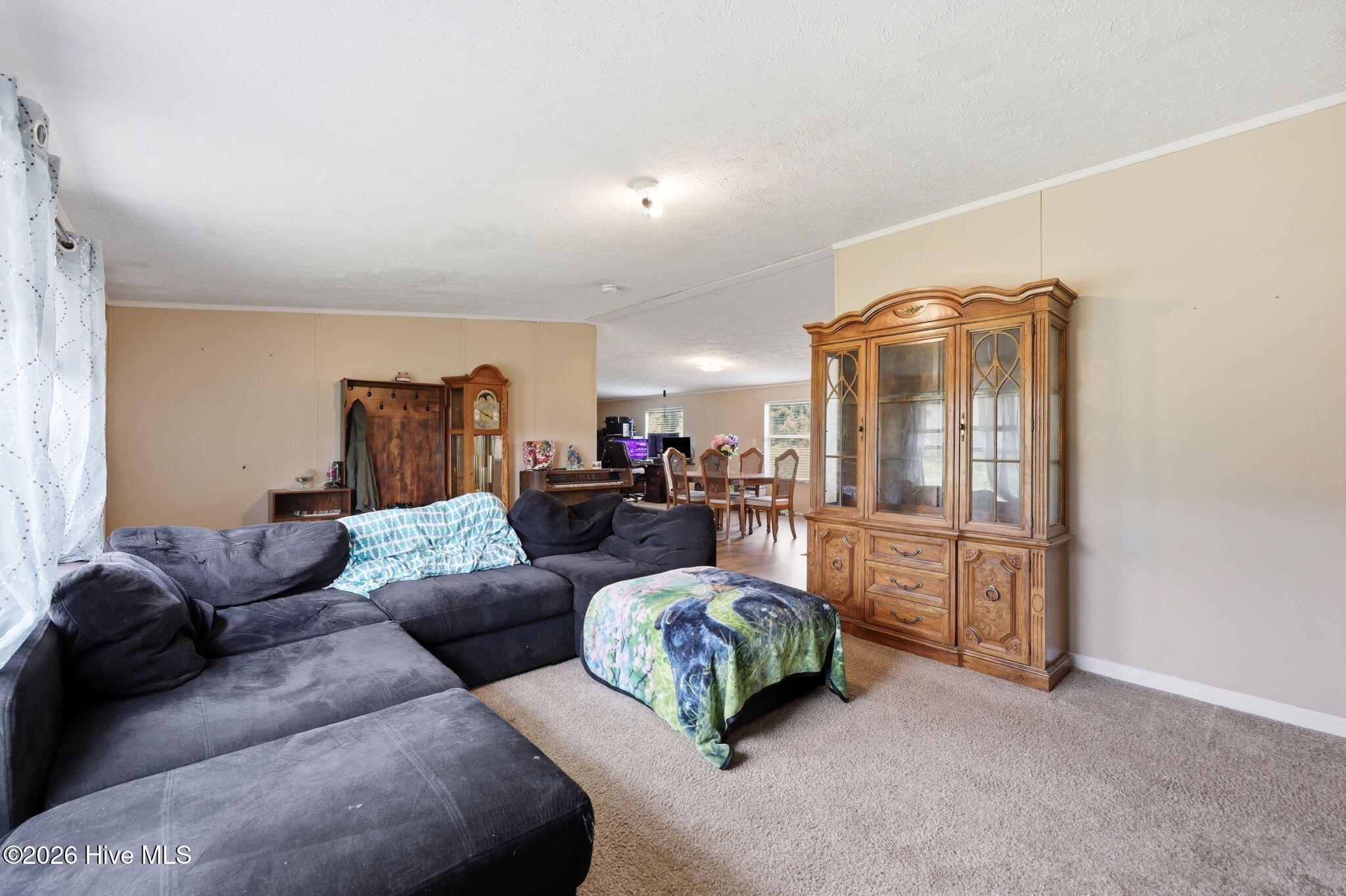 260 Low Ground Road Enfield, NC 27823 - Photo 4 of 9