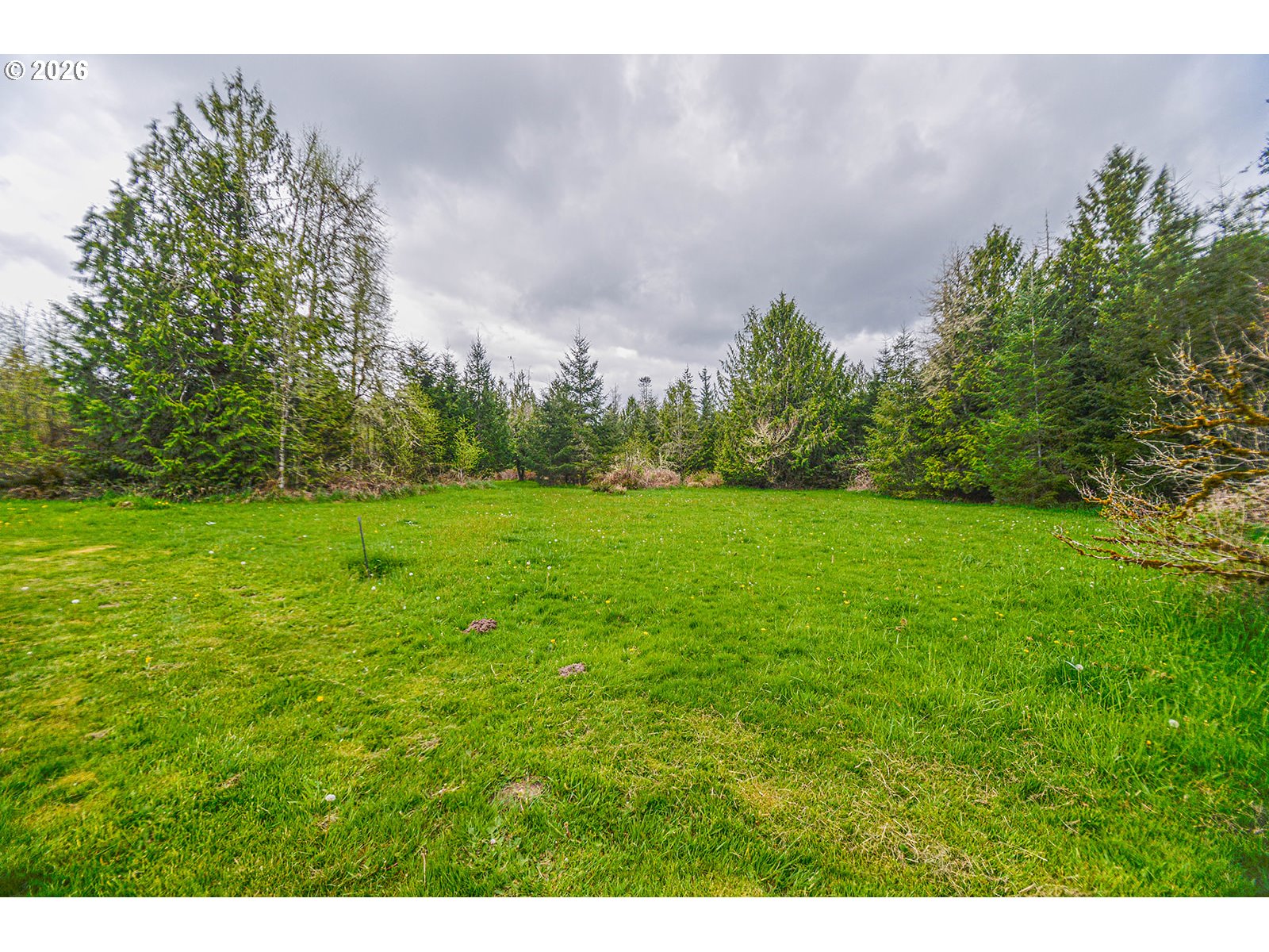 75696 Price Road Rainier, OR 97048 - Photo 6 of 8