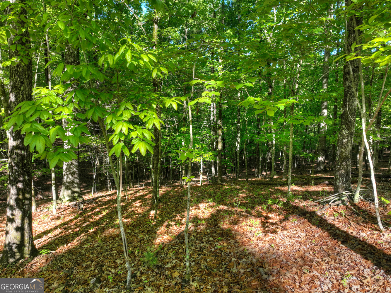 Lot 41 Ridge Drive Morganton, GA 30560 - Photo 12 of 34