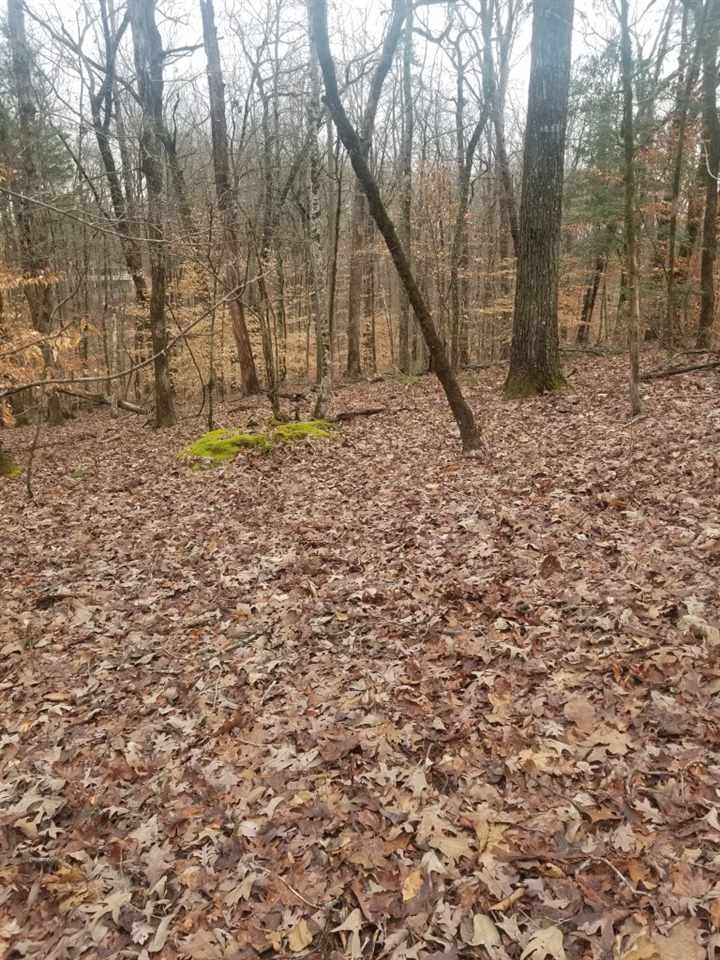 0 Red Cloud Trail Spring City, TN 37381 - Photo 1 of 8 Gallery Image 1