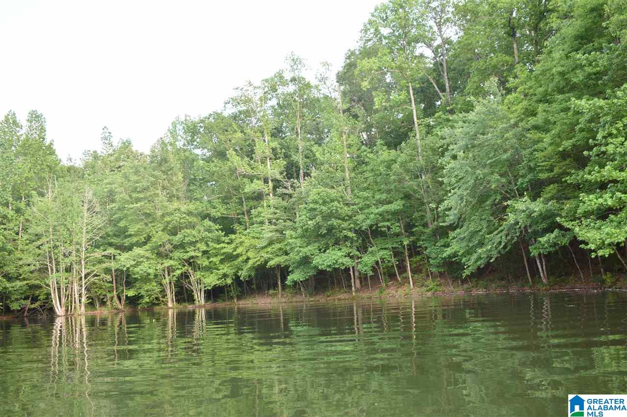 Wild Turkey Lane, Unit 23 Wedowee, AL 36278 - Photo 2 of 4