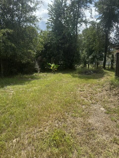 111 Dolly Road Statenville, GA 31648 - Photo 21 of 23 Gallery Image 21