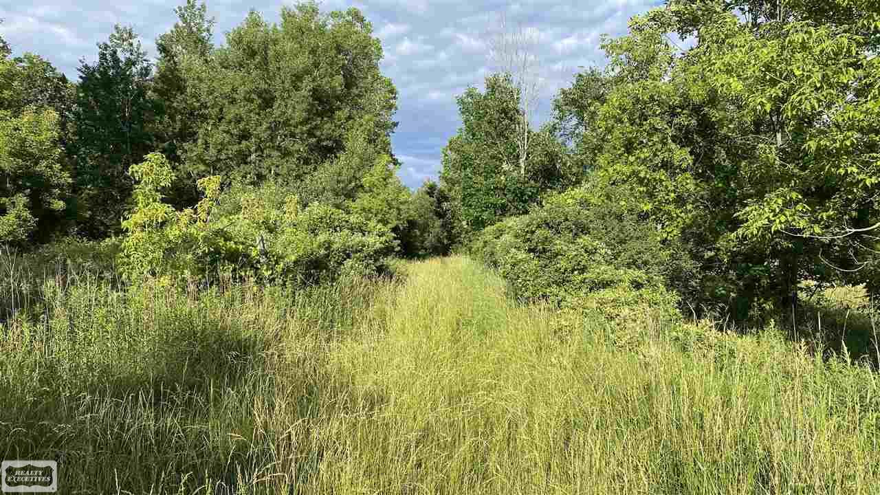 0 Cornwell Road Memphis, MI 48041 - Photo 2 of 7