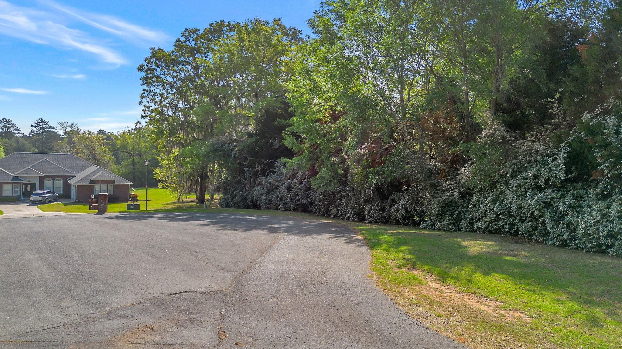 Lot 11 Raspberry Way Tallahassee, FL 32312 - Photo 7 of 10