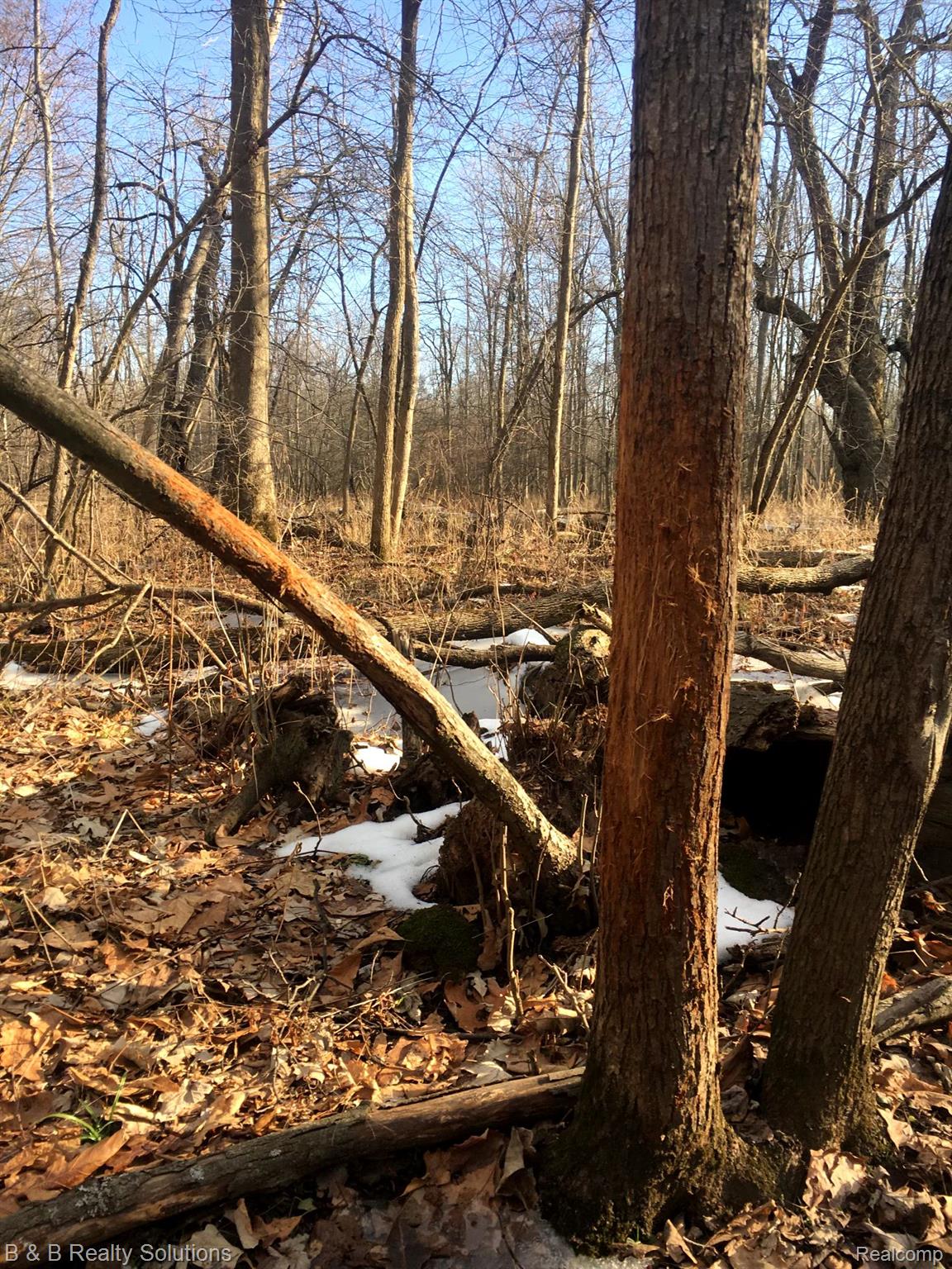 0 Ducker Road North Branch, MI 48461 - Photo 12 of 44 Gallery Image 12