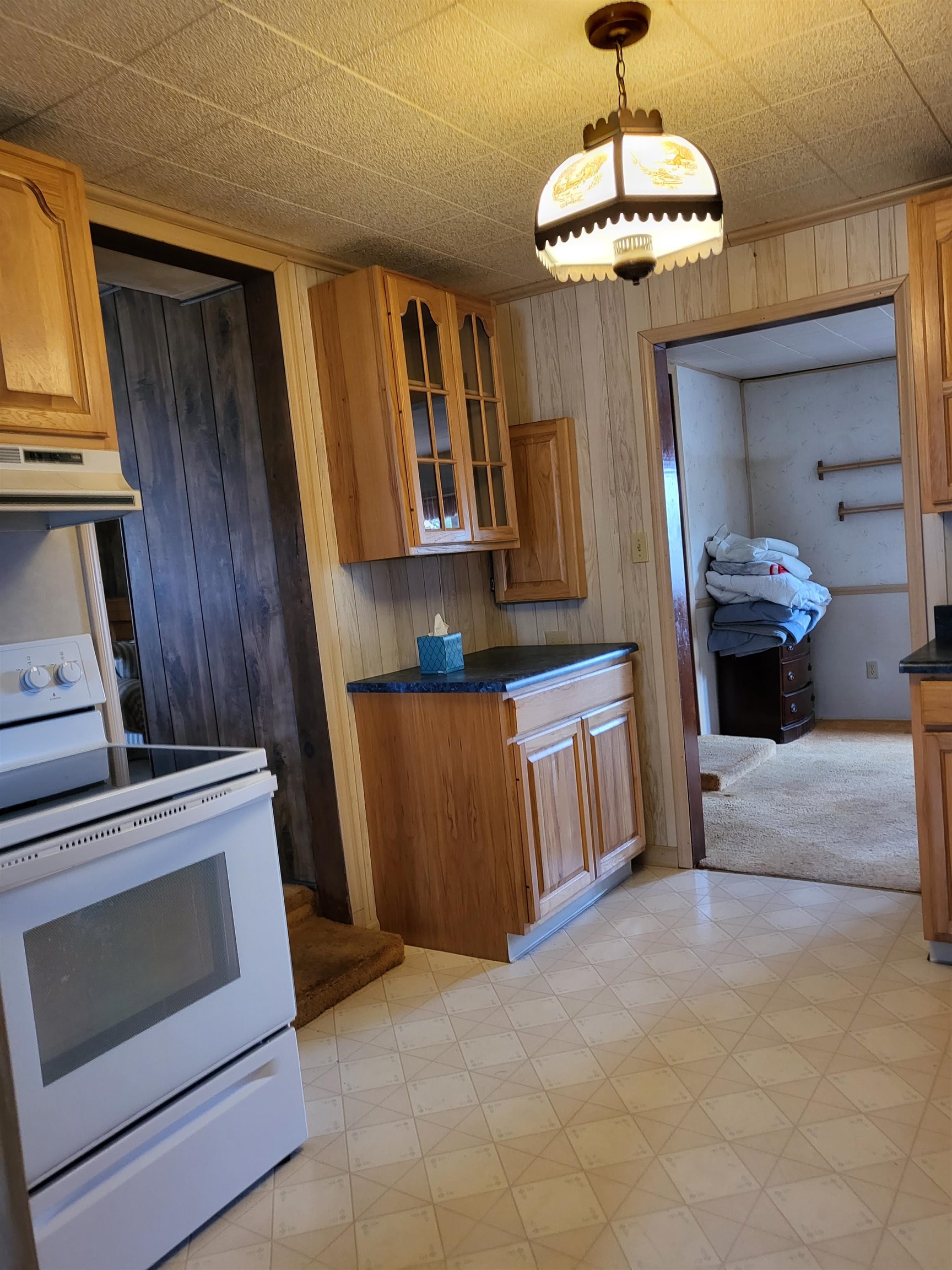 6957 Curtis Road Hale, MI 48739 - Photo 11 of 20 1898514-10.JPG