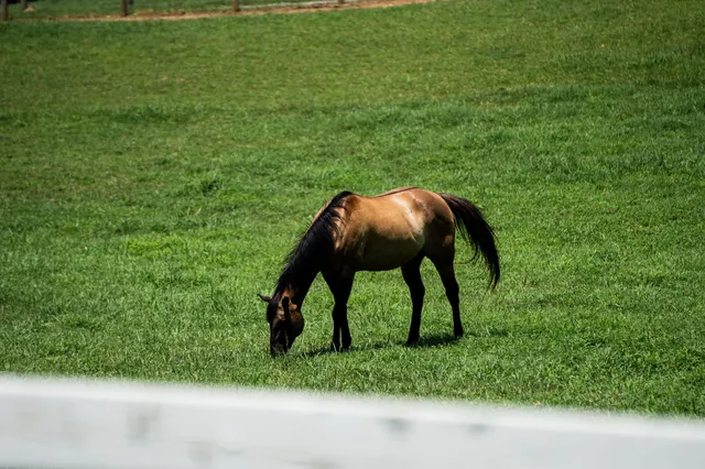 a view of a tennis court