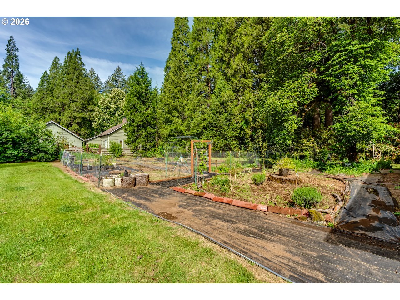 91793 Horse Creek Road Blue River, OR 97413 - Photo 29 of 42