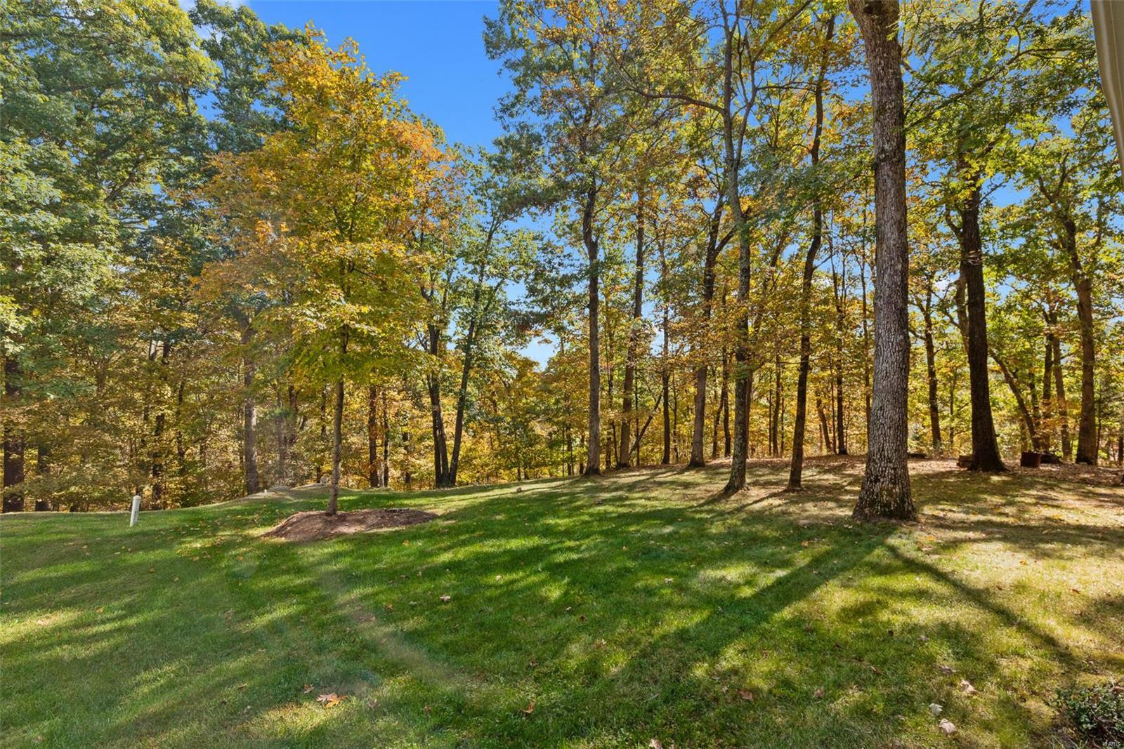 3863 Indian Ridge Lane Defiance, MO 63341 - Photo 40 of 47 Gallery Image 40