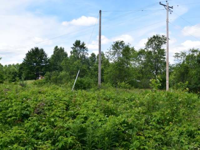 On Nylund Road Rhinelander, WI 54501 - Photo 5 of 13 Gallery Image 5