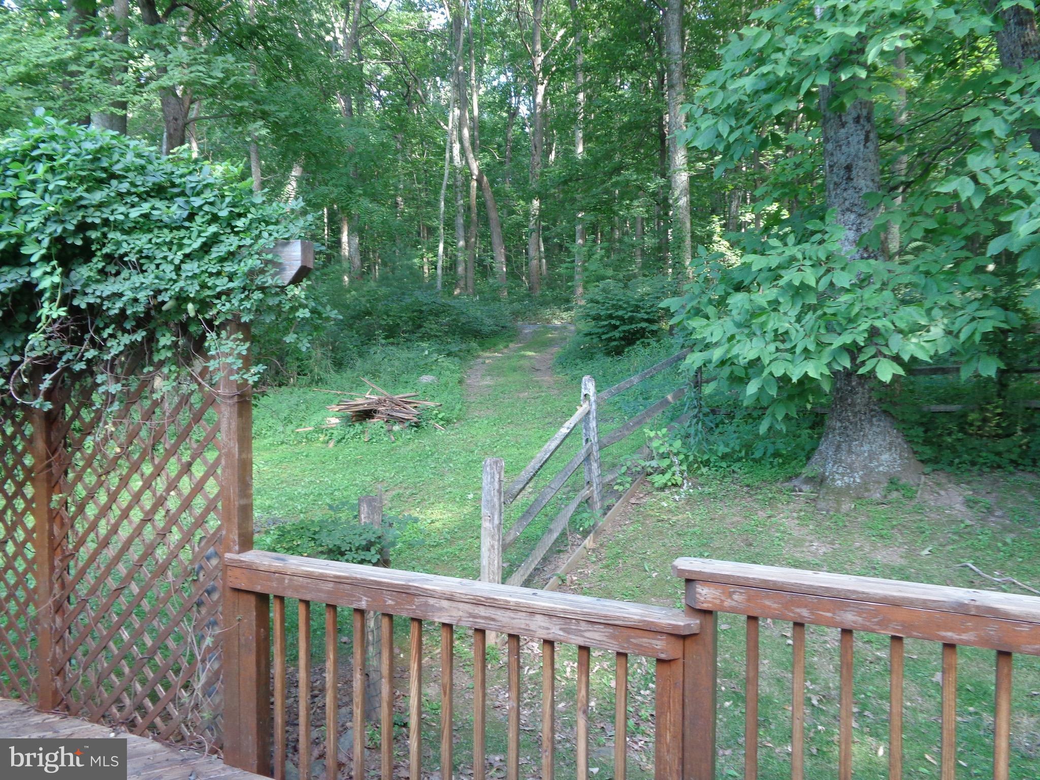 88 Long View Road Linden, VA 22642 - Photo 29 of 30 Driveway off of Old Linden Rd