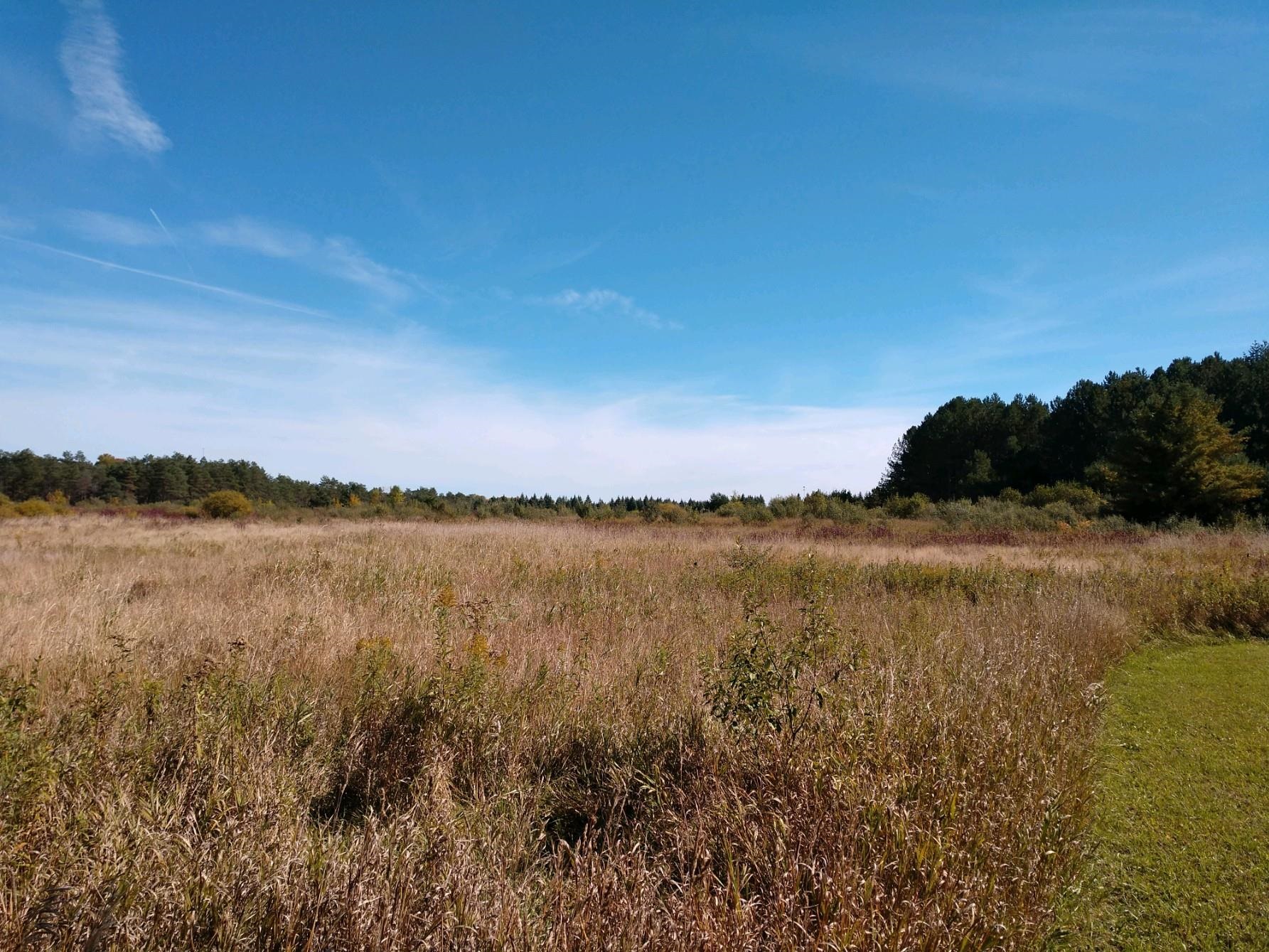 Parcel B Parcel B Putnam Hale, MI 48739 - Photo 2 of 6