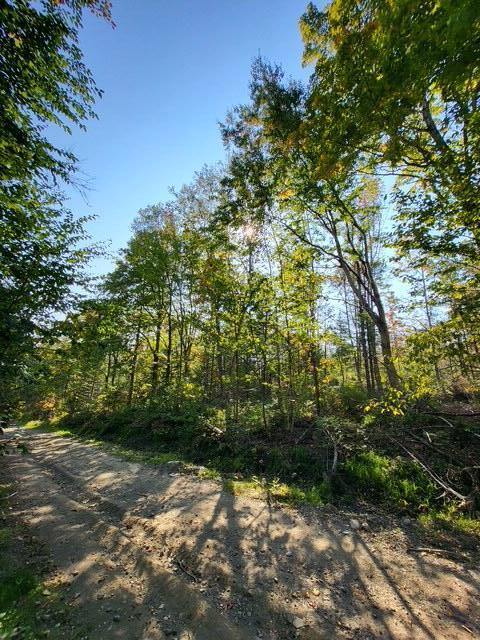Lot 7-3 Brown Road Oakfield, ME 04763 - Photo 5 of 21 3856092175265660029