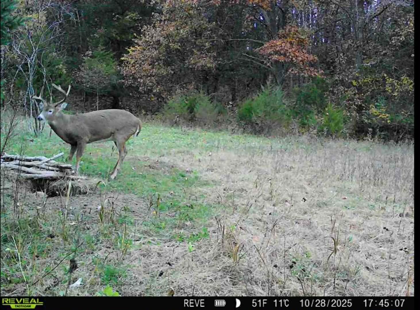 W3054 County Road West, Unit T Mindoro, WI 54644 - Photo 24 of 46 Messenger_creation_DF9AEBAE-6541-40A0-B0