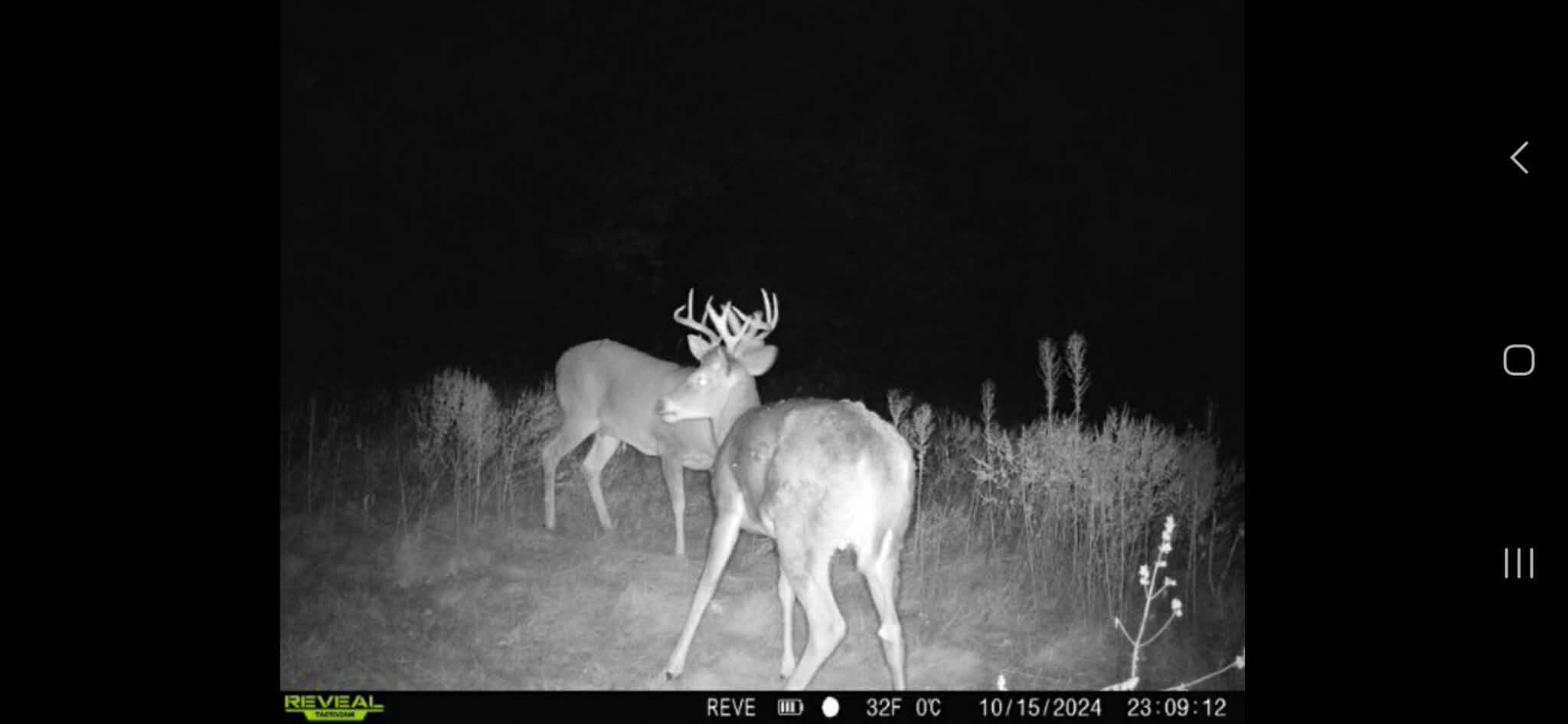 W3054 County Road West, Unit T Mindoro, WI 54644 - Photo 28 of 46 Messenger_creation_8B141195-067E-49AC-93