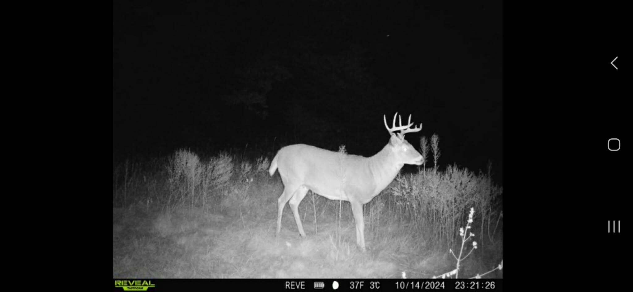 W3054 County Road West, Unit T Mindoro, WI 54644 - Photo 30 of 46 Messenger_creation_DE29D862-A02B-418E-83