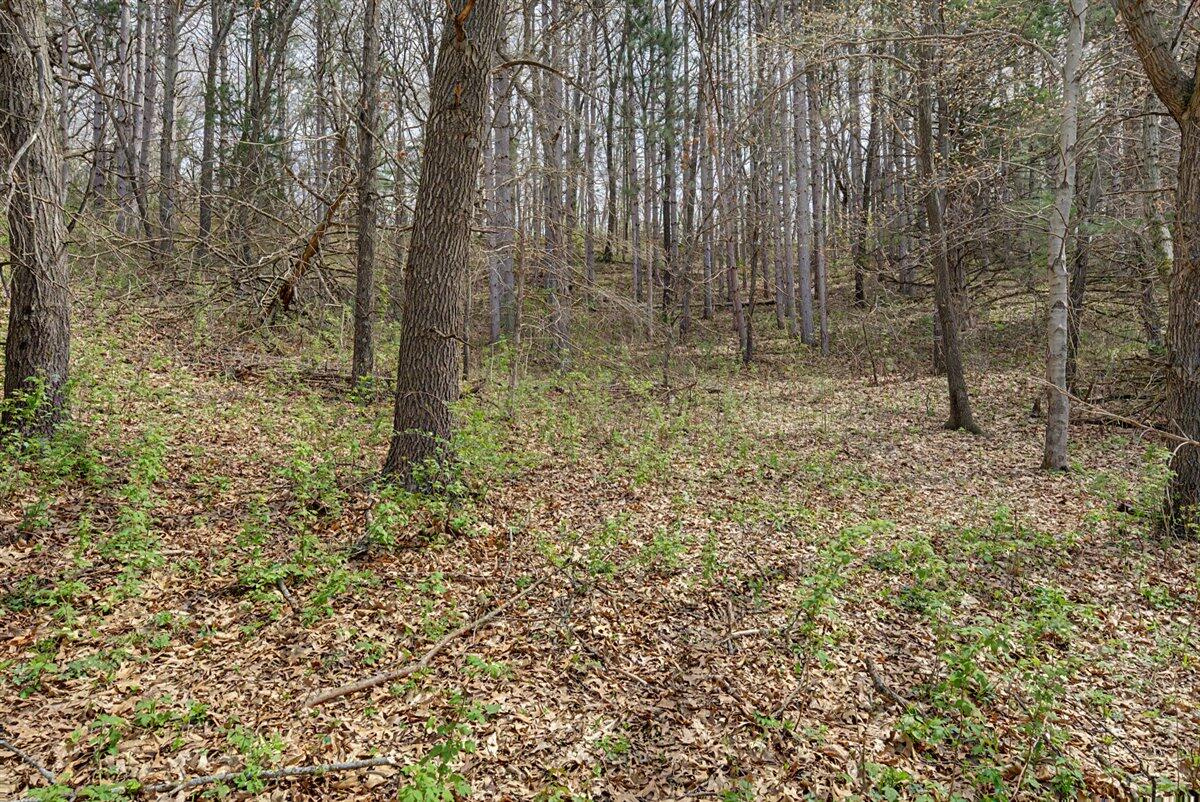 W3054 County Road West, Unit T Mindoro, WI 54644 - Photo 33 of 46 28-MLS