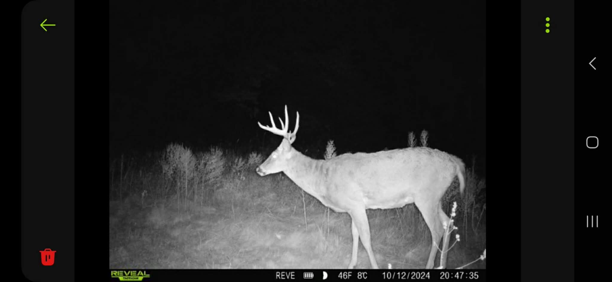 W3054 County Road West, Unit T Mindoro, WI 54644 - Photo 34 of 46 Messenger_creation_C1F14380-7DCB-4F3D-A1