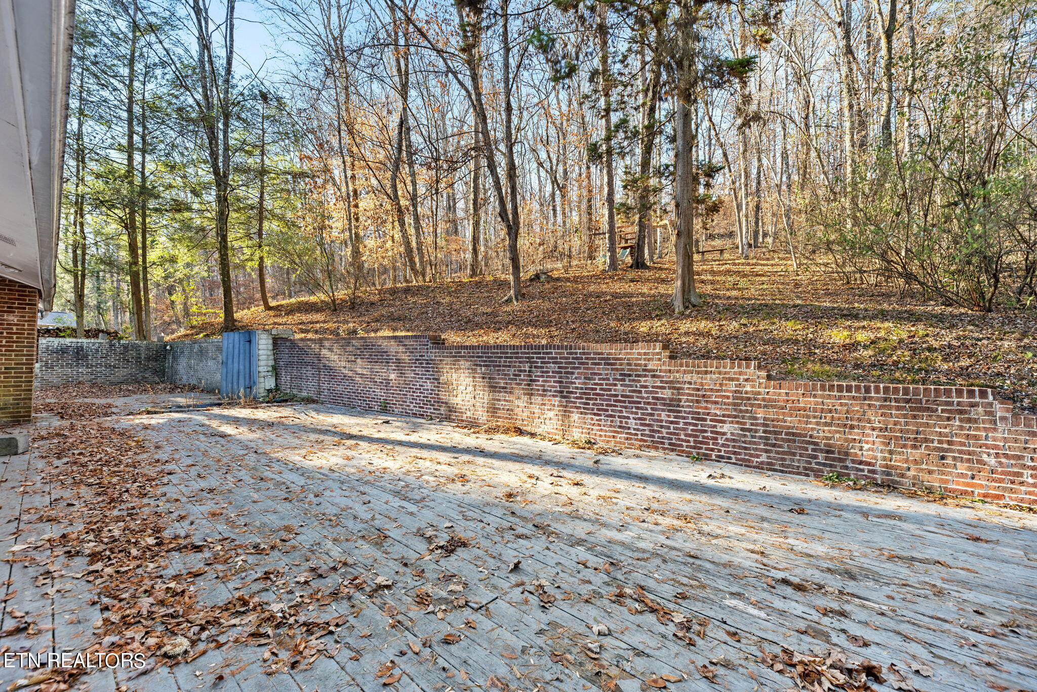 234 Gum Hollow Road Oak Ridge, TN 37830 - Photo 28 of 31 28-web-or-mls-GmHllw234 (63)