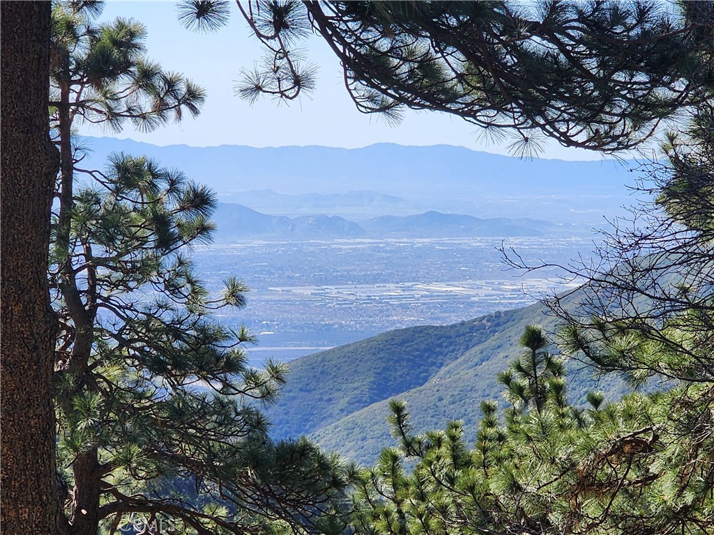 21657 Vista Road Cedarpines Park, CA 92322 - Photo 11 of 39 a view of outdoor space and mountain view