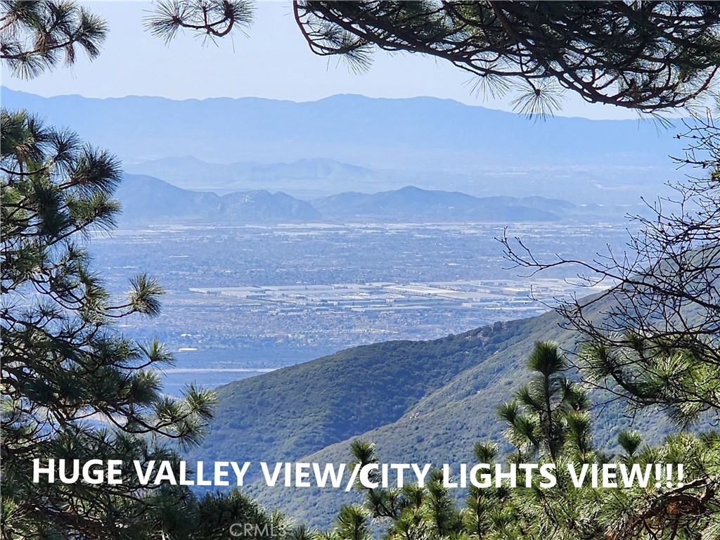 21657 Vista Road Cedarpines Park, CA 92322 - Photo 2 of 39 a view of a yard