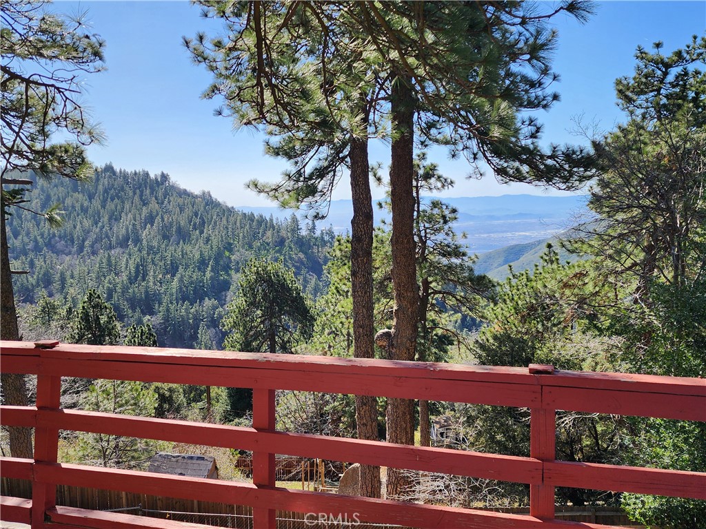 21657 Vista Road Cedarpines Park, CA 92322 - Photo 3 of 39 a view of a bench in the middle of a forest