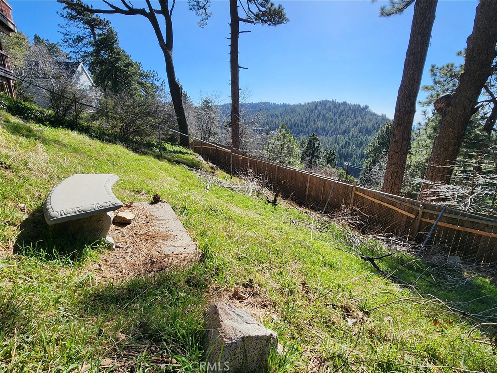 21657 Vista Road Cedarpines Park, CA 92322 - Photo 34 of 39 a view of a back yard