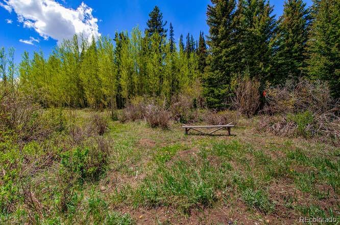 0 South Spruce Street Alma, CO 80420 - Photo 11 of 25 Gallery Image 11