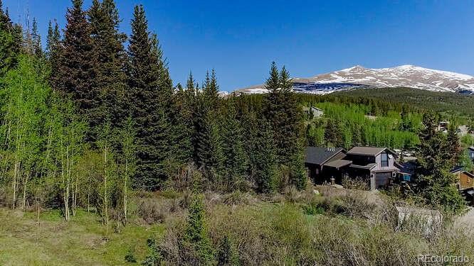 0 South Spruce Street Alma, CO 80420 - Photo 16 of 25 Gallery Image 16