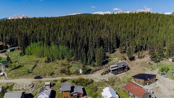 0 South Spruce Street Alma, CO 80420 - Photo 24 of 25 Gallery Image 24