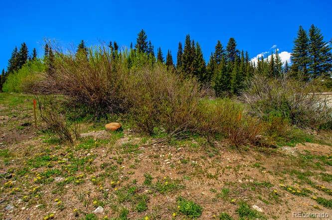 0 South Spruce Street Alma, CO 80420 - Photo 7 of 25 Gallery Image 7
