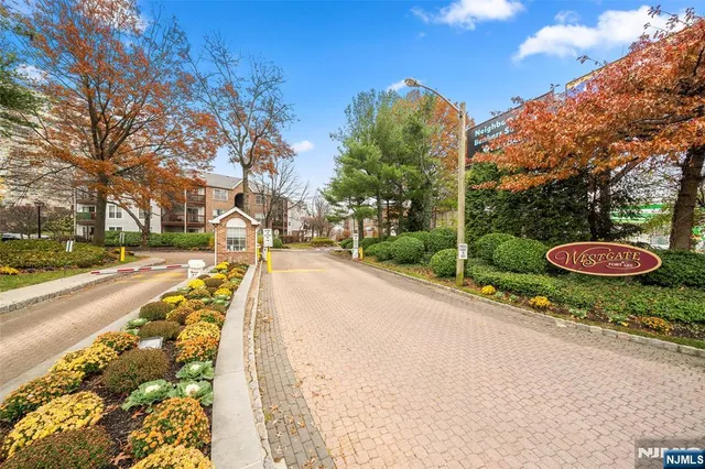 a view of a yard with cars on road